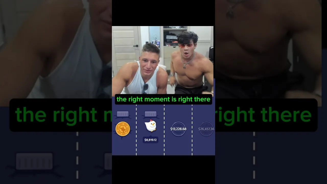 Stake Chicken Game Big Win! Player Scores an 8.8x Multiplier