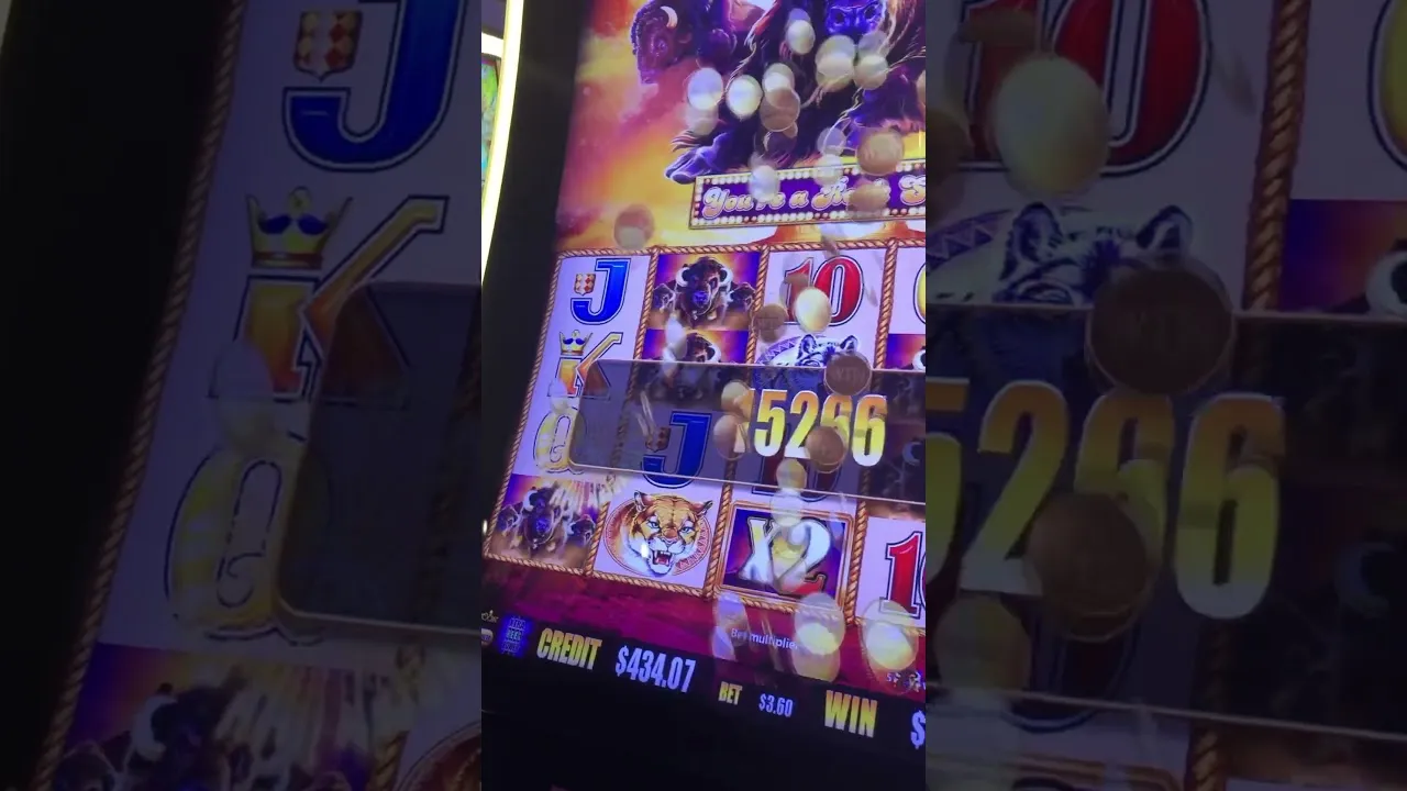 Buffalo Slot: Incredible $200+ Win at Winstar Casino!