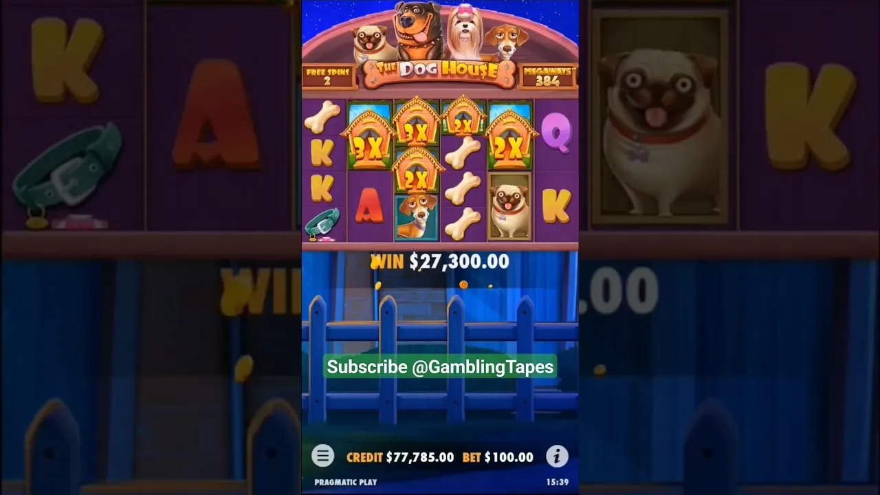 The Dog House: Jaw-Dropping 489x Win Caught on Camera!