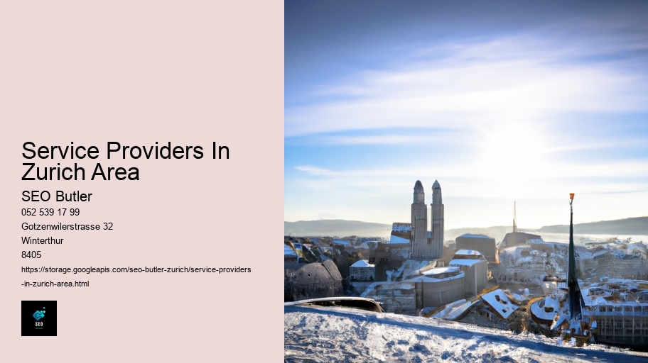 Service Providers In Zurich Area