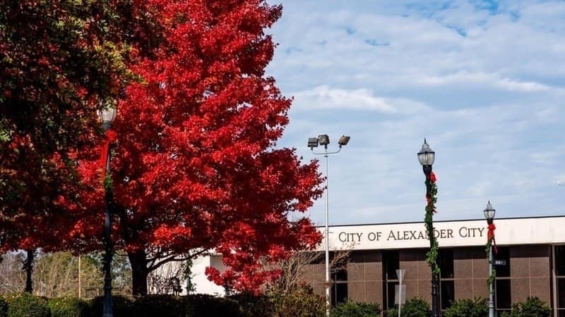 Image of Alexander City Hall and City Clerk