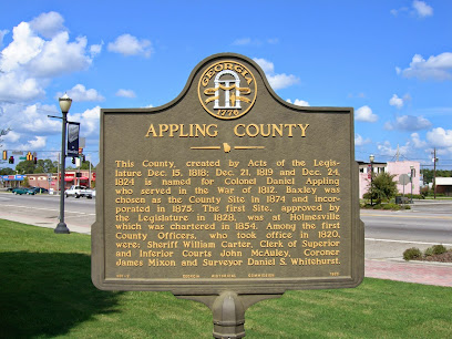 Image of Appling County Public Library