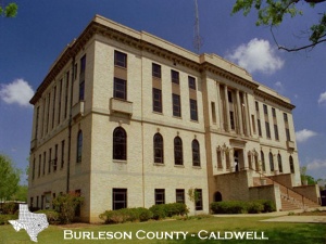 Image of Burleson County Constitutional Court