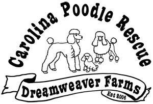 Image of Carolina Poodle Rescue