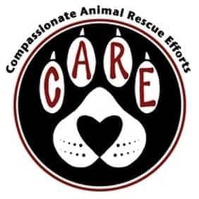 Image of Compassionate Animal Rescue Efforts