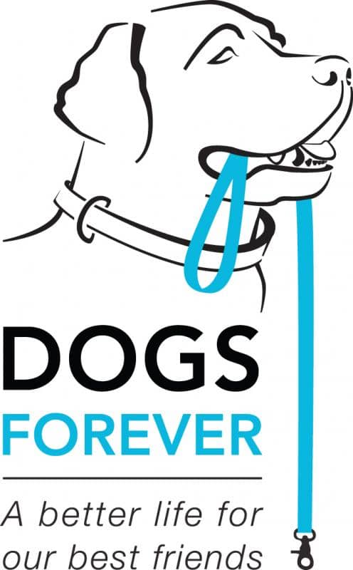 Image of Dogs Forever