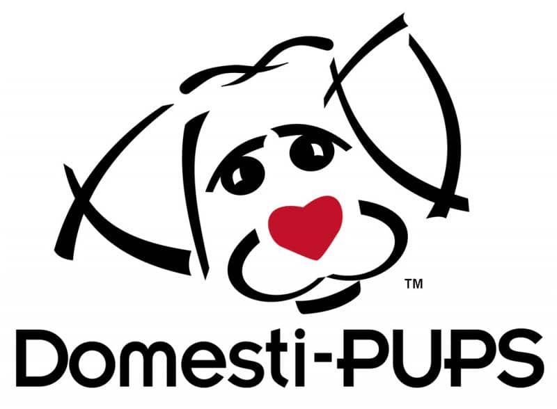 Image of Domesti-Pups