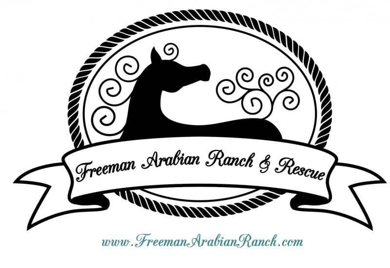 Image of Freeman Arabian Ranch And Rescue