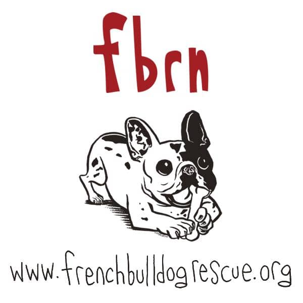 Image of French Bulldog Rescue Network a Nonprofit Corporation