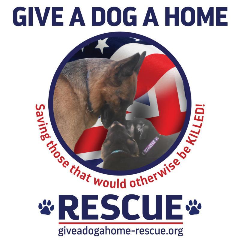 Image of Give a Dog a Home Rescue