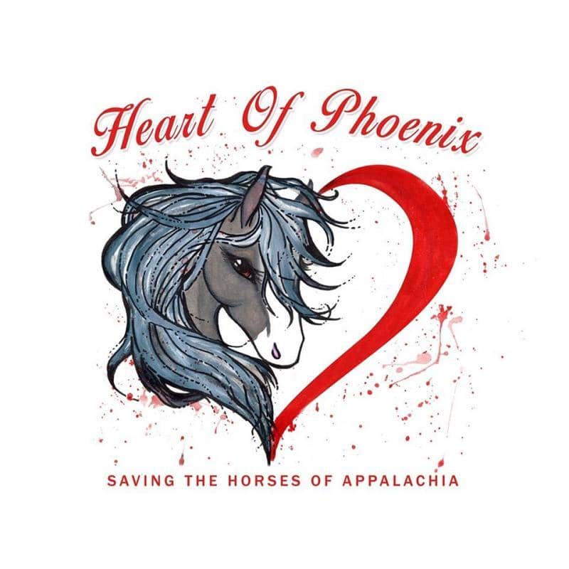 Image of Heart of Phoenix Equine Rescue Inc.