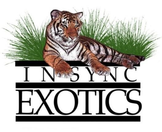 Image of In-Sync Exotics, Inc.