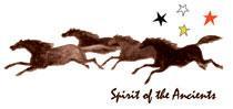 Image of International Society For The Protection Of Mustangs & Burros