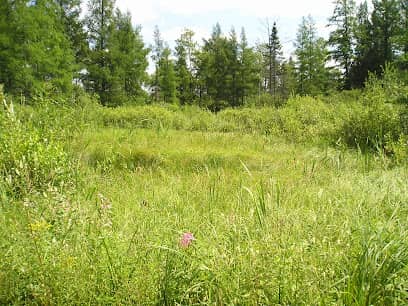 Image of Lake of the Woods Soil and Water Conservation District