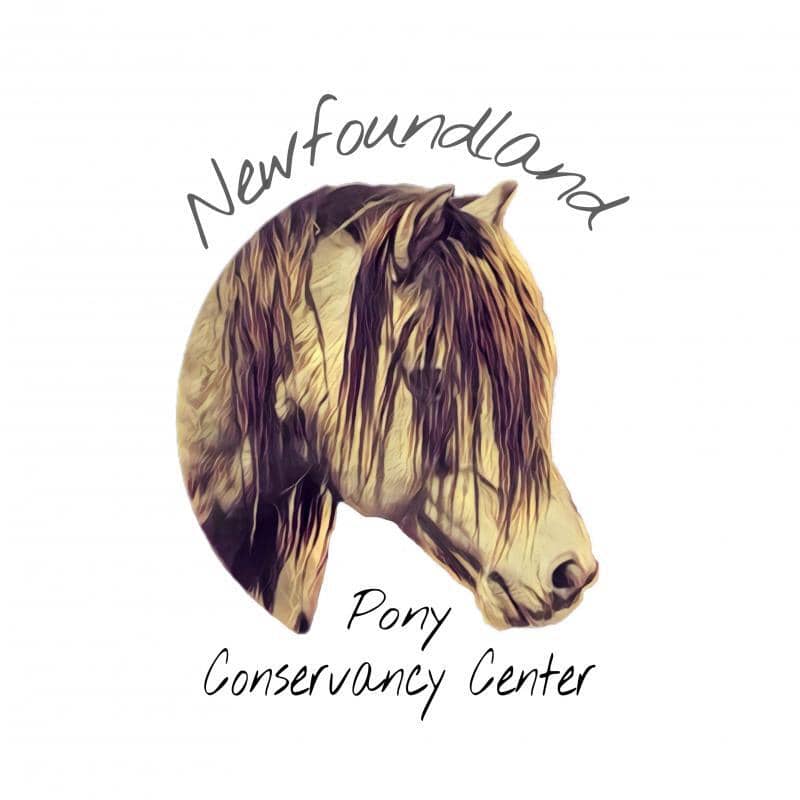 Image of Newfoundland Pony Conservancy Center