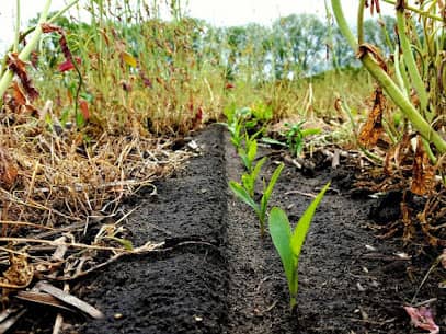 Image of Newton County Soil & Water Conservation District