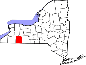 Map Of New York Highlighting Allegany County