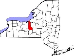 Map Of New York Highlighting Cayuga County