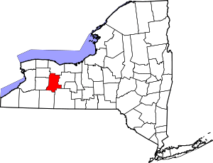 Map Of New York Highlighting Livingston County