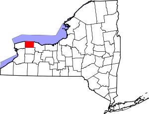 Map Of New York Highlighting Orleans County