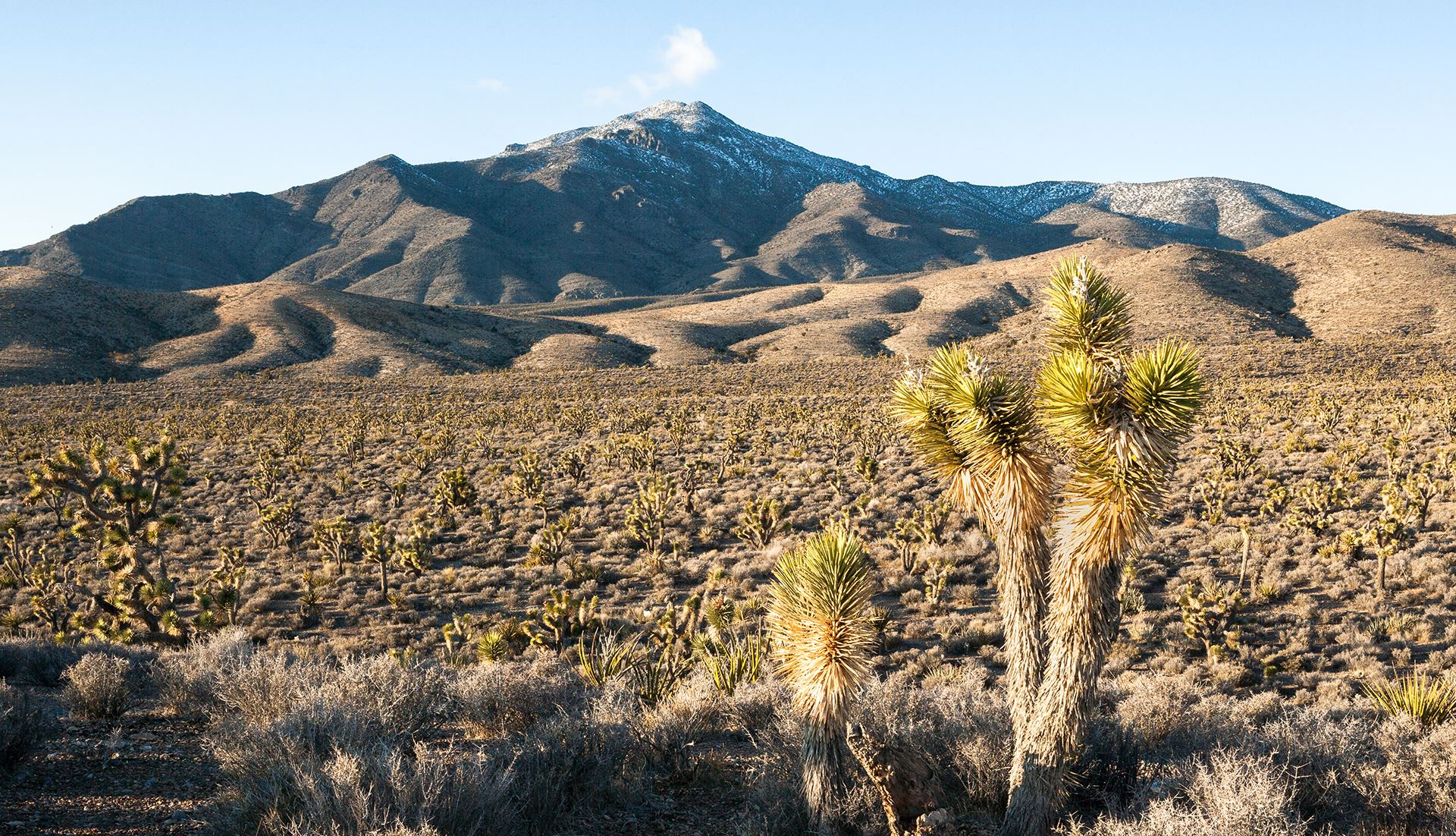 Image of Nye County Water District