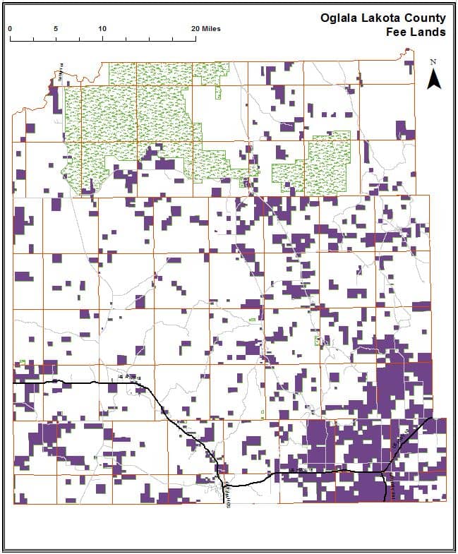 Image of Oglala Lakota County (formerly Shannon County) Director of Equalization