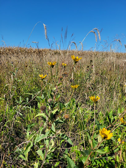 Image of Olmsted County Soil and Water Conservation District