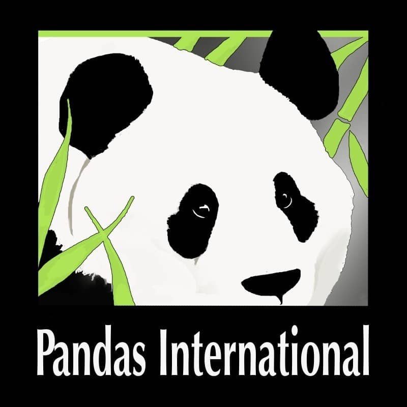 Image of Pandas International