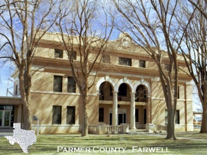 Image of Parmer County Constitutional Court