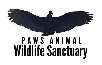 Image of Paws Animal Wildlife Sanctuary Inc