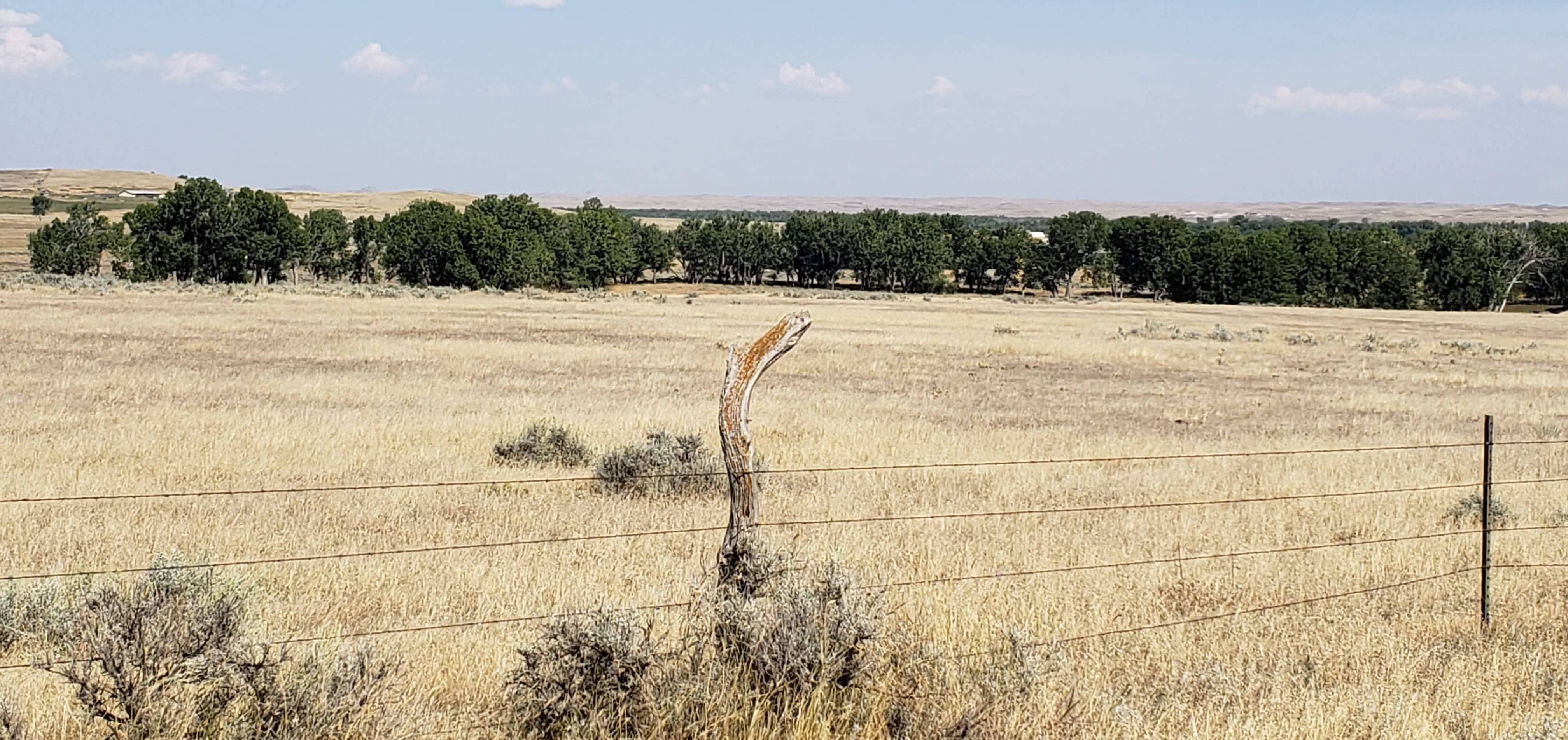 Image of Powder River County Assessor - Revenue Department