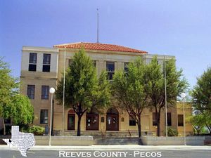 Image of Reeves County Constitutional Court