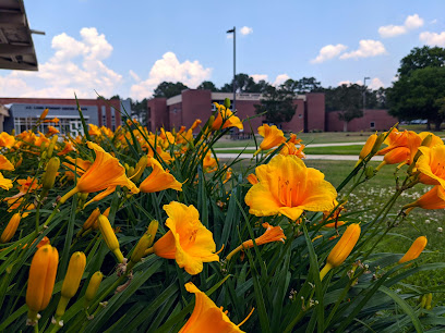 Image of Richmond Community College Library and Academic Support Services