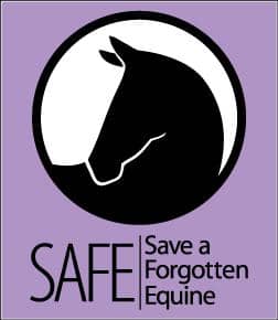 Image of Save A Forgotten Equine