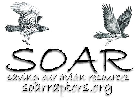 Image of Saving Our Avian Resources S O A R