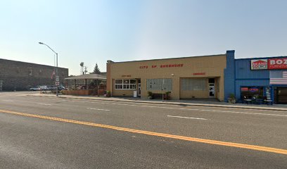 Image of Shoshone Library