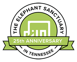 Image of Elephant Sanctuary