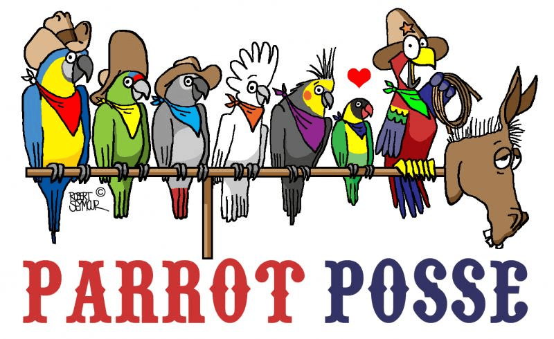 Image of The Parrot Posse