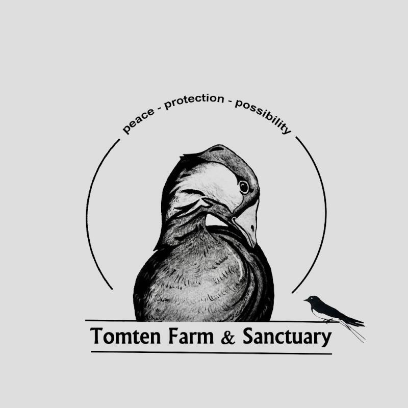 Image of Tomten Farm And Sanctuary Of New Hampshire