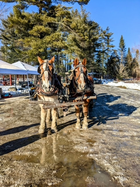 Image of Town of Ryegate Town Clerk