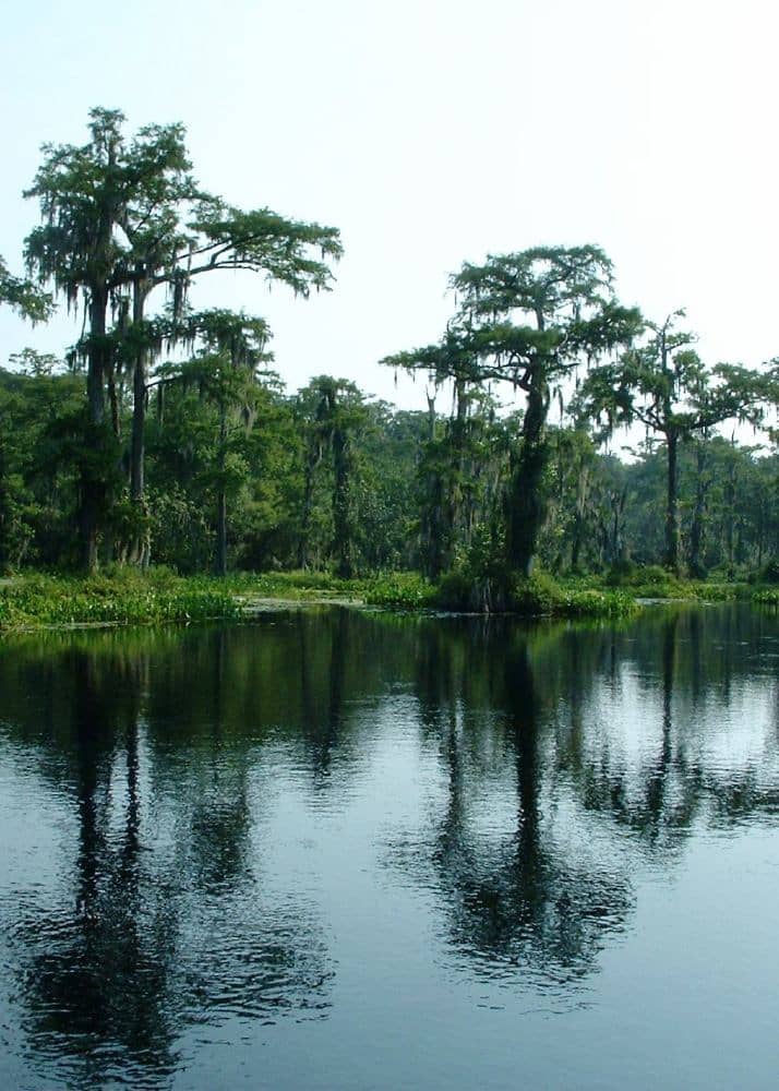 Image of Wakulla Soil and Water Conservation District