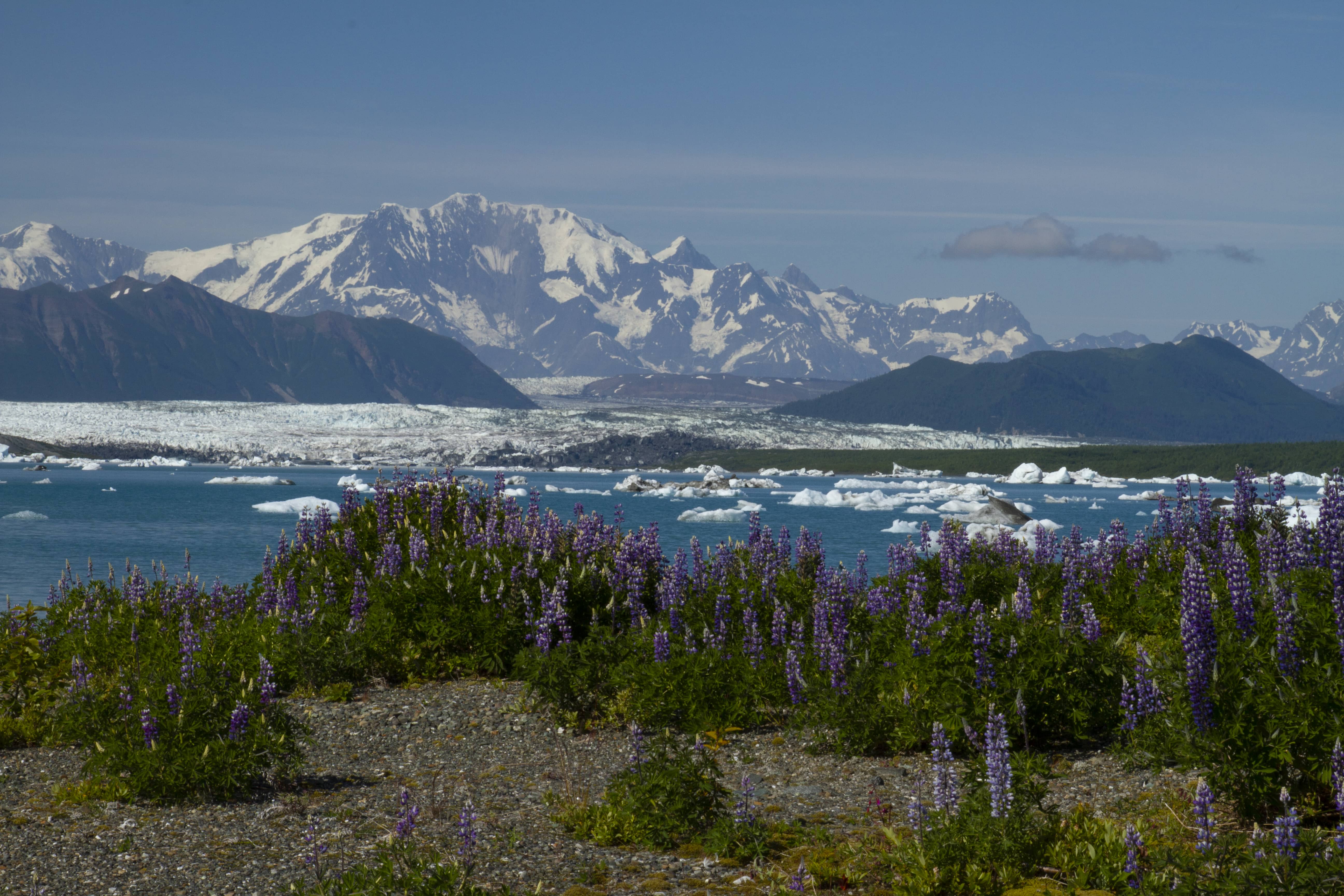 Image of Yakutat City and Borough Recorder