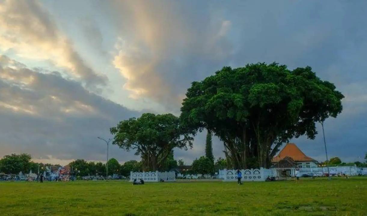 Mengenal Alun-Alun Kidul Jogja, Ikon Wisata di Kota Gudeg