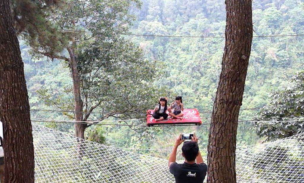 Kopi Daong Bogor, Cafe Hits di Tengah Hutan Pinus