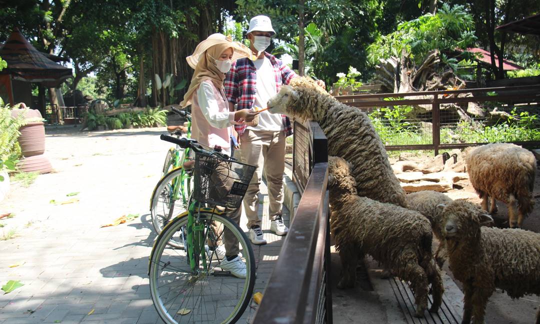 Kebun Binatang Gembira Loka Jogja, Destinasi Favorit Keluarga