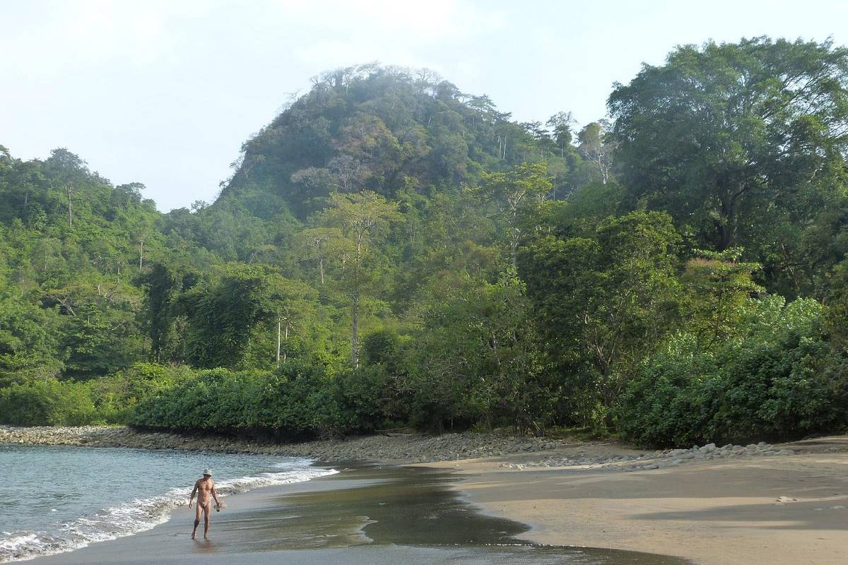 Lokasi Pantai Bandealit Jember.jpg