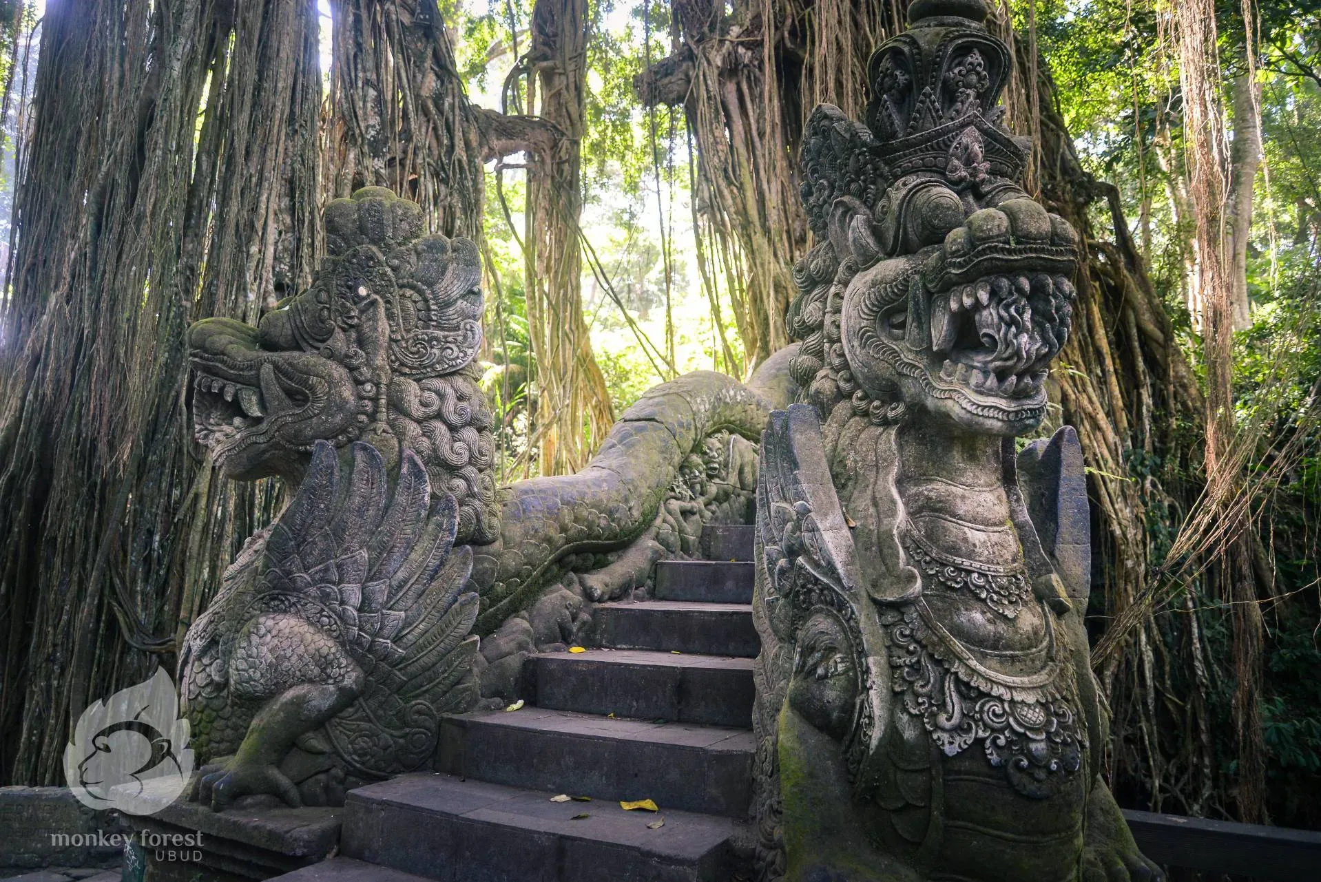 Monkey Forest Ubud