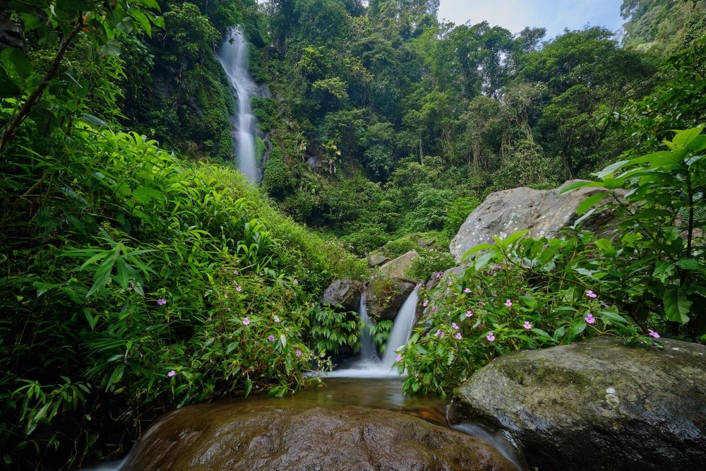 daya tarik air terjun semirang (1).jpg