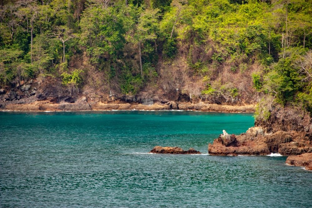 Pesona Taman Nasional Meru Betiri, Habitat “Terakhir” Harimau Jawa