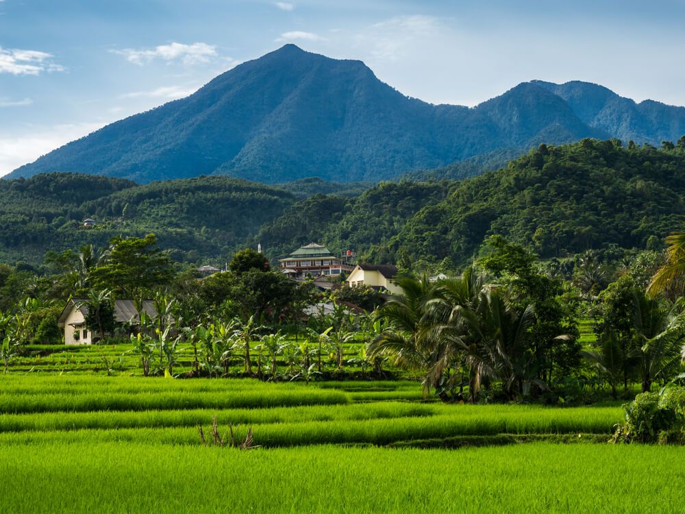 tentang curug nangka.jpg